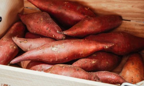 Khoai lang có 9 lợi ích với sức khỏe, nhưng không dành cho tất cả mọi người