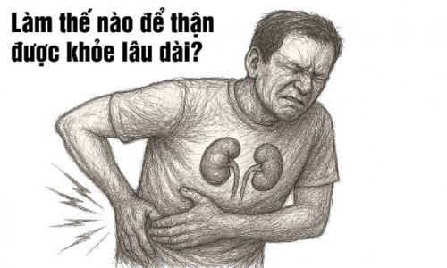 Làm thế nào để thận được khỏe lâu dài?