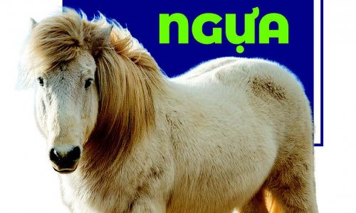 Năm Ngọ nói chuyện Ngựa