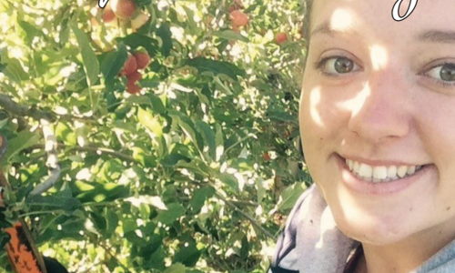 mồ hôi & nước mắt: Câu chuyện buồn trong mùa hái trái cây