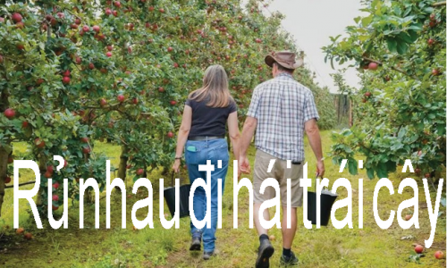 Mùa nào quả đó.