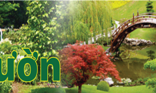 TRANG LÀM VƯỜN - Bón phân: Cung cấp chất dinh dưỡng cho rau, đậu trồng trong vườn nhà