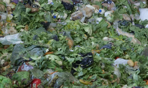 Giải pháp cho chất thải thực phẩm bị lãng phí tại Úc