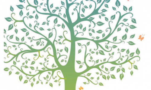 Không dùng đến DNA: - Nhờ đâu người Việt tìm ra gốc gác dòng họ?