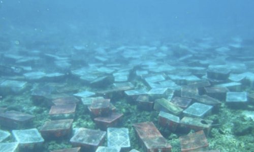 Biển Đông : Động cơ chính trị của Trung Quốc đằng sau tuyên bố bảo vệ môi trường ?