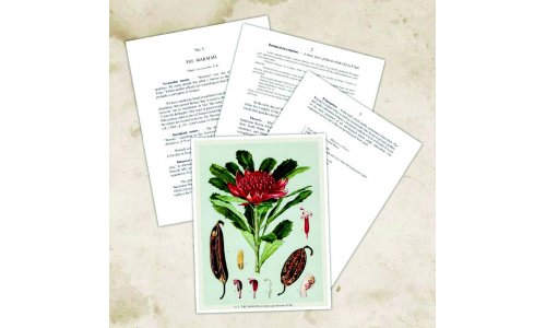 Hồi ký - Nguyễn Văn Phong - Nhà và Nhà tôi - CHƯƠNG III - XÂY DỰNG NHÀ (P9)