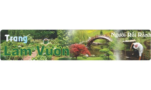 Trồng rau, đậu... khi tiết trời ở giữa Thu đầu Đông