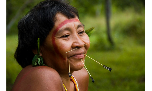 CHUYỆN ĐÓ CHUYỆN ĐÂY - Đời sống nghiệt ngã của dân bản địa tại Ba Tây (Nam Mỹ)