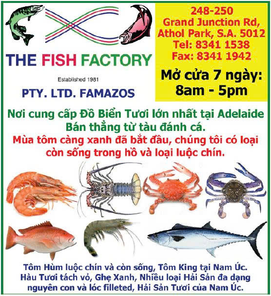 The fish Factory