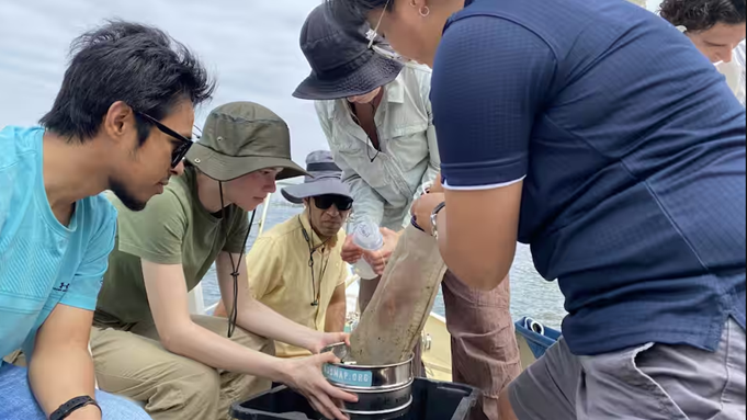 Hạt vi nhựa: Những vị khách lén lút trong đường thủy, đất, không khí... và cơ thể chúng ta