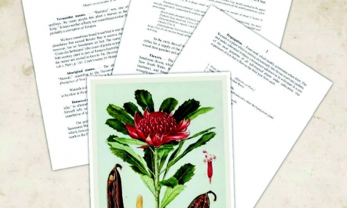 Hồi ký - Nguyễn Văn Phong - Nhà và Nhà tôi - CHƯƠNG III - XÂY DỰNG NHÀ (P9)