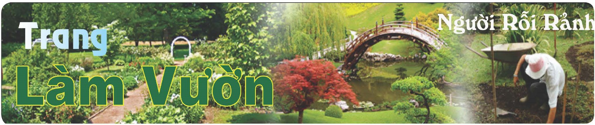 Cây cũng giống như người cần dinh dưỡng