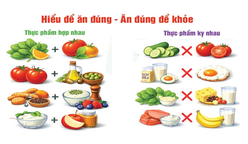 Hại và Lợi của Thực phẩm đi kèm nhau