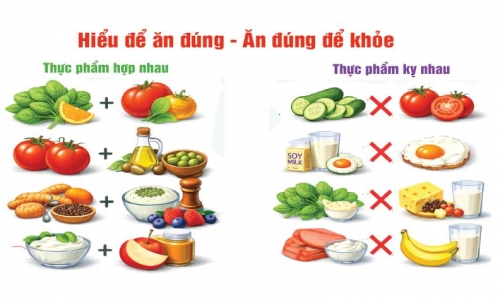 Hại và Lợi của Thực phẩm đi kèm nhau
