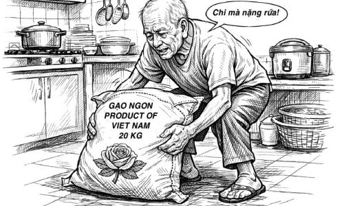 Tuổi 80 và chuyện đôi chân bỗng nhiên “phản chủ”