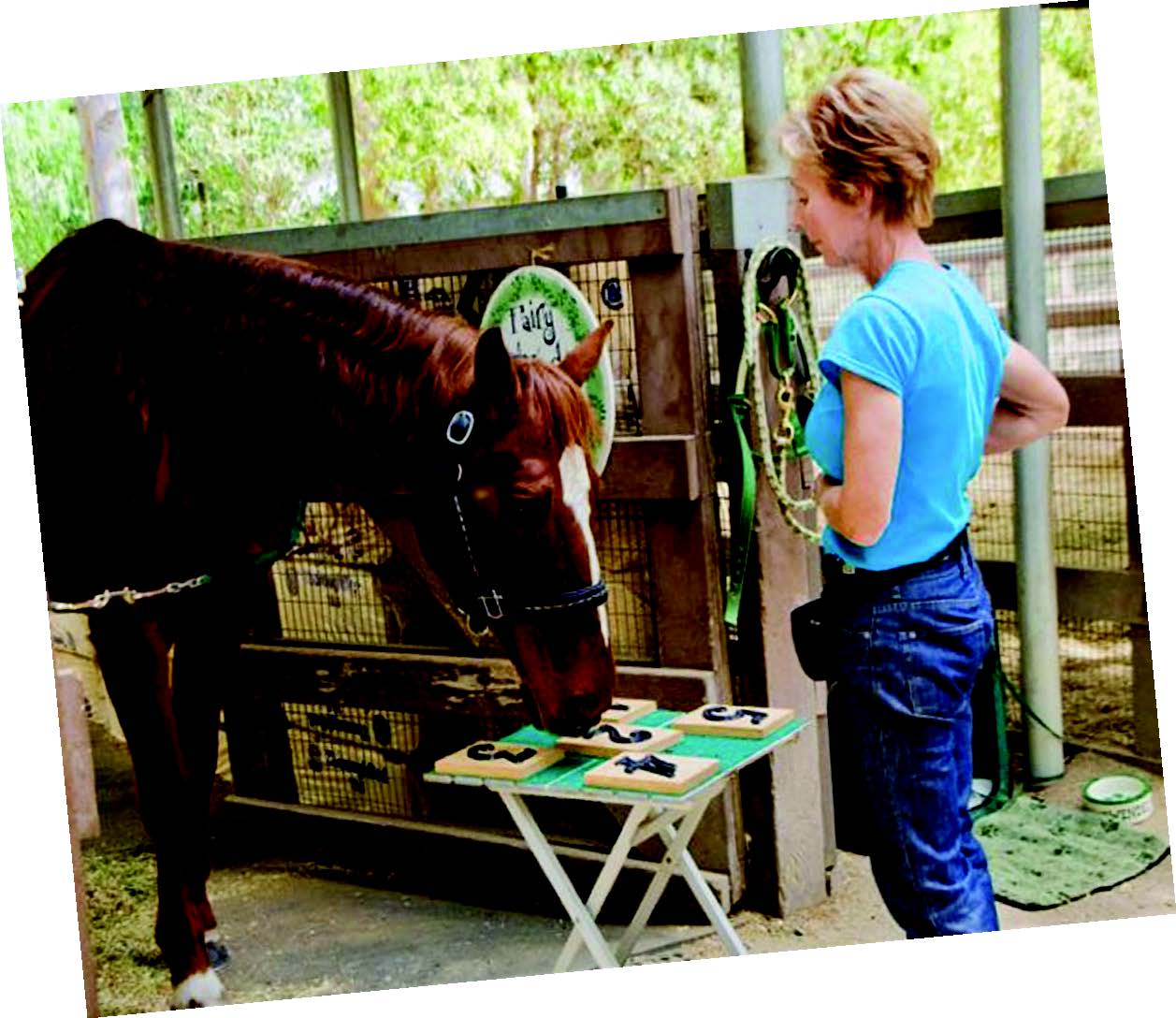 Năm Ngọ, kể chuyện lý thú về Ngựa