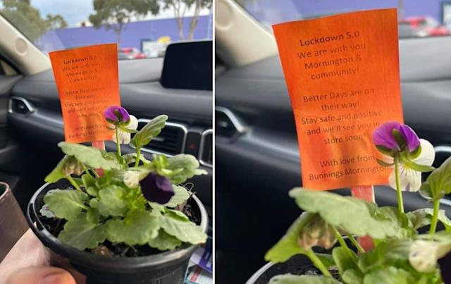 Bunnings được ca ngợi vì đã 'làm cho cuộc sống tươi sáng hơn' trong thời gian phong tỏa