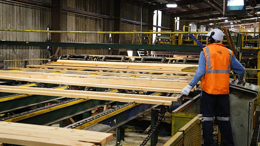 Các công ty xây dựng nhà cần gỗ xây nhà có thể phải chờ đợi nhiều tháng do nguồn cung thiếu hụt