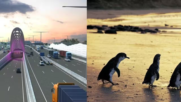 Dịch vụ hữu ích: Khám phá đường hầm khổng lồ và xem chim cánh cụt miễn phí