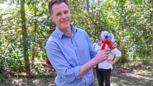 Việc khai thác gỗ bị dừng lại để tạo ra nơi ẩn náu cho gấu túi koala