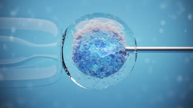 Trung tâm thụ tinh trong ống nghiệm Monash IVF lần thứ hai cấy nhầm phôi thai cho bệnh nhân