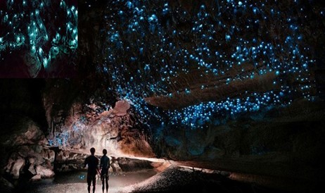 Khi hết tuần lễ ánh sáng Vivid tại Sydney nên ngắm đường hầm đom đóm Lithgow