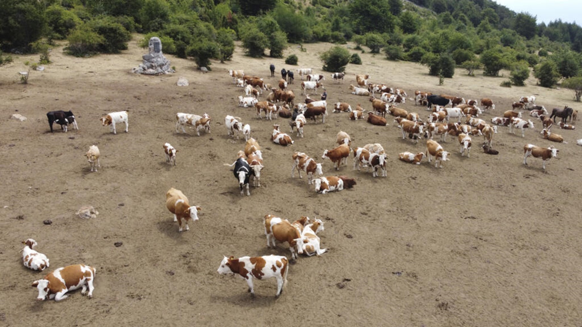 Đài quan sát Copernicus : Hơn phân nửa diện tích đất đai châu Âu khô hạn trong tháng 7/2025.