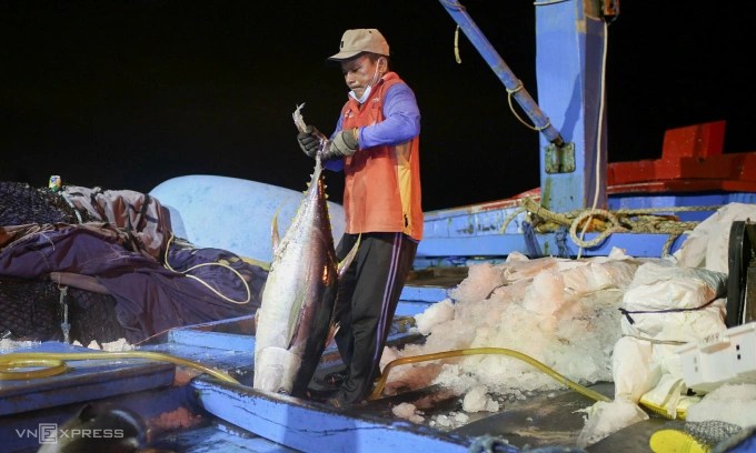 Mỹ thắt chặt chính sách bảo vệ động vật biển có vú, nhiều nghề cá ở Việt Nam nguy cơ mất thị trường