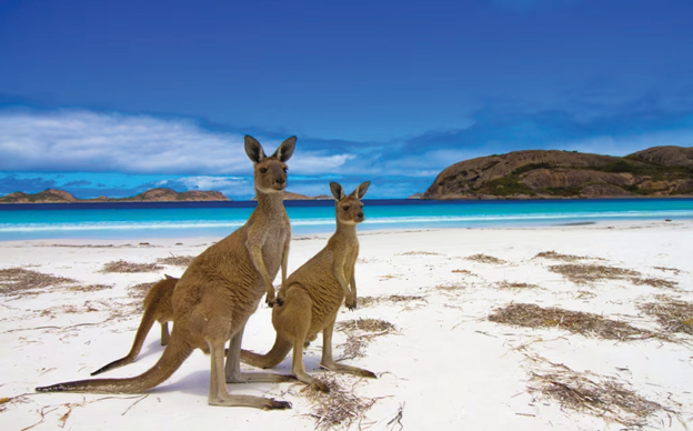 BIẾT ĐỂ LÊN KẾ HOẠCH THÍCH NGHI: - Úc sẽ hứng chịu một mùa hè đỏ lửa