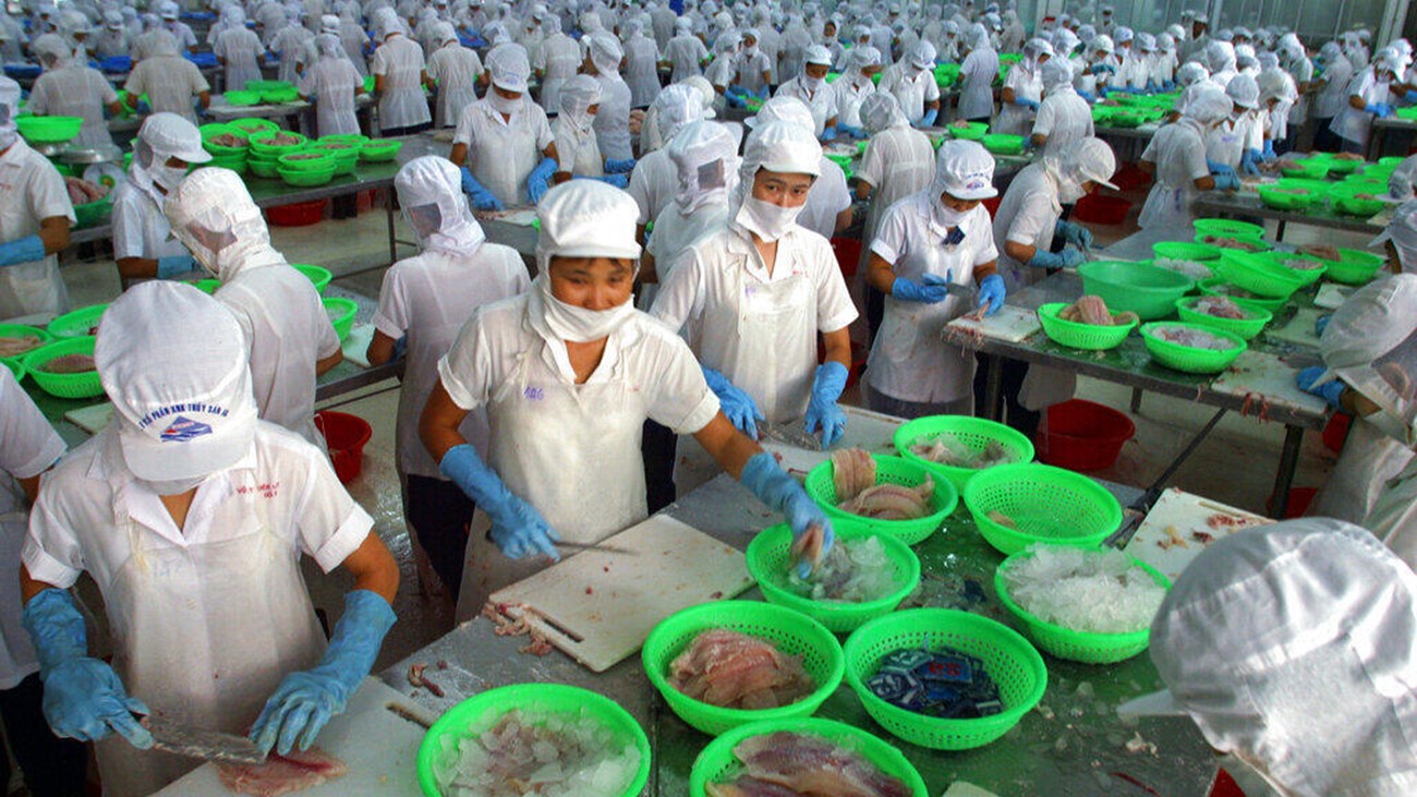 Việt Nam đề nghị Hoa Kỳ xem xét lại lệnh cấm nhập cảng thủy sản