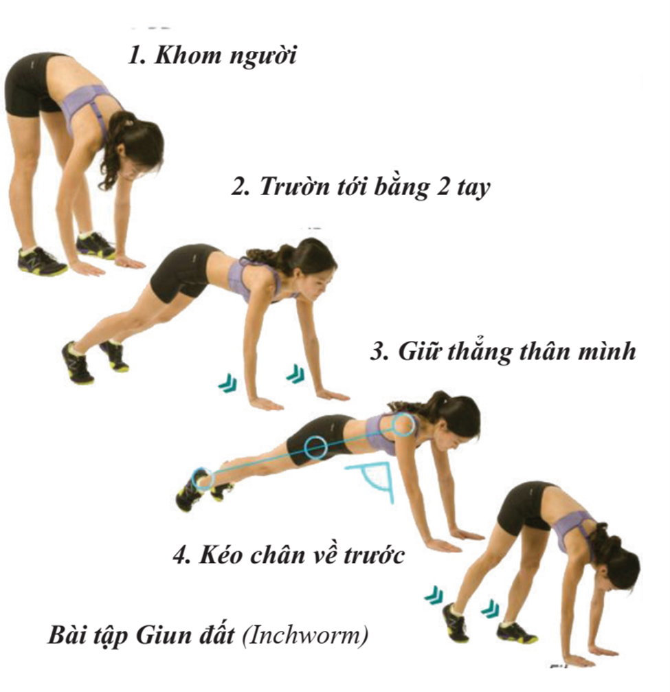 Bài tập thể dục tốt cho tim mạch.