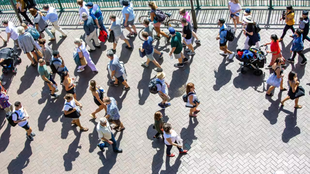 Thế hệ trẻ Úc ngày càng ít gắn bó với đất nước so với thế hệ trước. Vì sao?