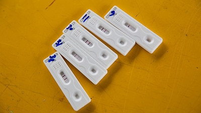 Người dân Úc có thể tự xét nghiệm COVID-19 tại nhà từ ngày 1/11